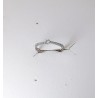 Anello Donna Elli's Nardelli EL106504 Solitario In Oro Bianco Con Diamanti