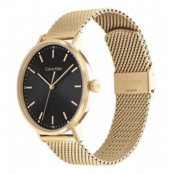 Orologio Uomo Calvin Klein Modern Mesh 25200049 Con Cassa E Cinturino Dorati