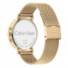 Orologio Uomo Calvin Klein Modern Mesh 25200049 Con Cassa E Cinturino Dorati