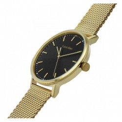 Orologio Uomo Calvin Klein Modern Mesh 25200049 Con Cassa E Cinturino Dorati
