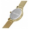 Orologio Uomo Calvin Klein Modern Mesh 25200049 Con Cassa E Cinturino Dorati