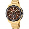 Orologio Uomo Festina Chrono Bike F20727/3 Cronografo Con Cassa E Cinturino Dorati