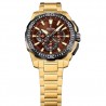 Orologio Uomo Festina Chrono Bike F20727/3 Cronografo Con Cassa E Cinturino Dorati