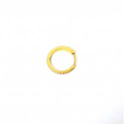 Mono Orecchino Cerchio Unisex OK1604 In Acciaio Dorato Con Zirconi