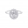 Anello Donna Lotus Silver LP3459-3/218 In Argento Con Zirconi