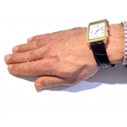 Orologio Uomo Casio MTP-B190GL-7BVEF Con Cassa Rettangolare Dorata