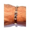 Bracciale Uomo Arkano BAC113BR In Acciaio Bicolore Argento/Rosé