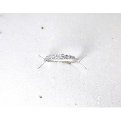 Anello Veretta Donna Elli's EL0618 In Oro Bianco 18Carati Con Diamanti